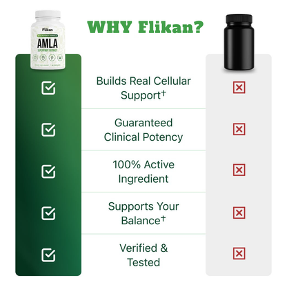 Flikan Amla Superfruit Capsules