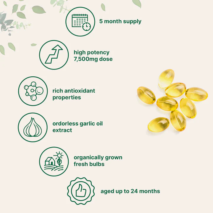 Flikan Odorless Aged Garlic