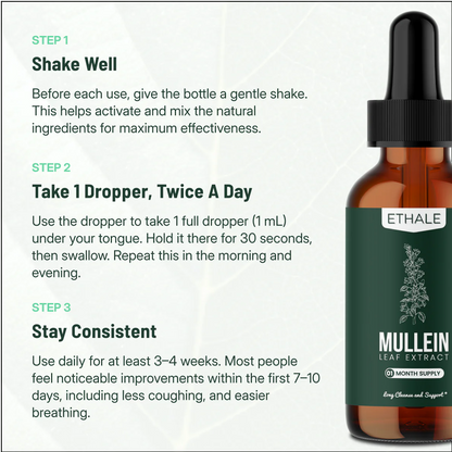 Mullein + Chlorophyll Lung Drops